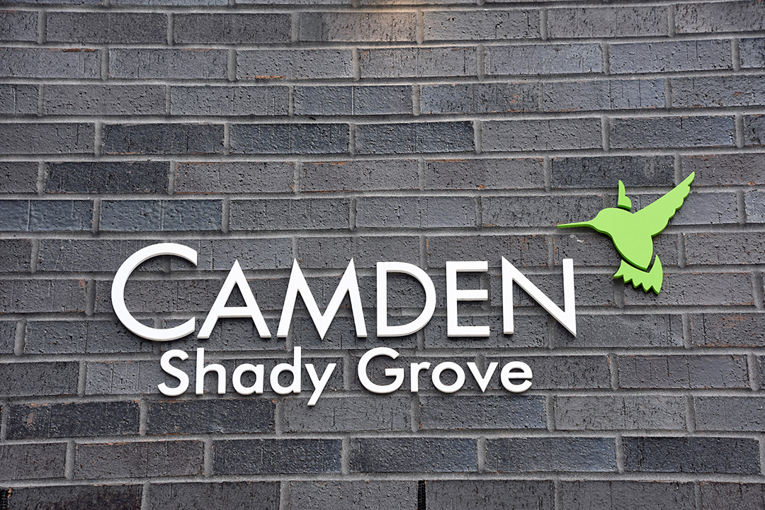 Camden Shady Grove